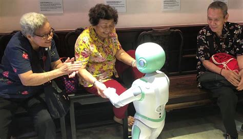 How Robot Caregivers Will Help an Aging U S Population 