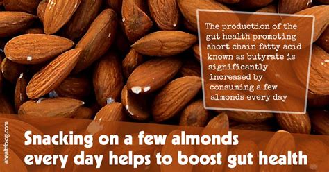 How Snacking on Almonds Can Boost Gut Health