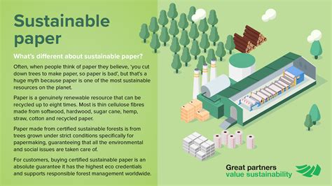 How Sustainable is Paper & Cardboard? - gittemary