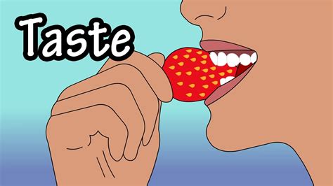 How Taste Works HowStuffWorks