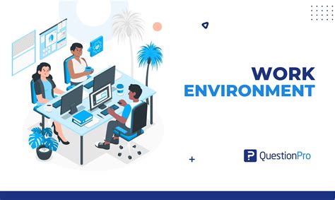 How The Environment Works