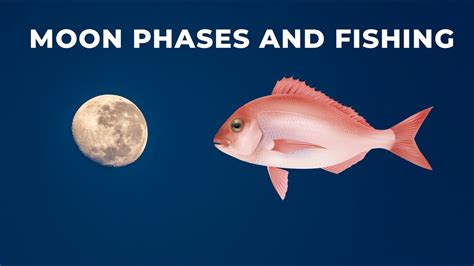 How The Moon And Tides Affect Fishing (Tips For …