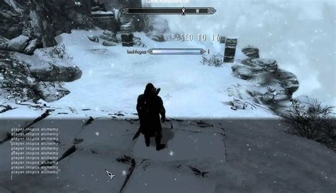 How To Add Perk Points With Console Commands in Skyrim