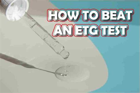 How To Beat An ETG Test A Comprehensive Guide