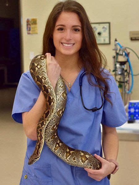 How To Become A Vet Tech Without College - CollegeLearners