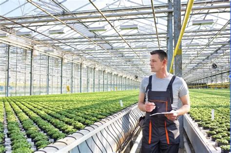 How To Become a Nursery and Greenhouse Manager - OwlGuru.com