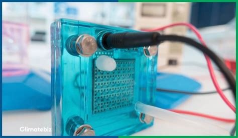 How To Build A DIY Hydrogen Fuel Cell