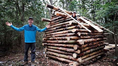 How To Build A Log Cabin From Trees Twigandthistle