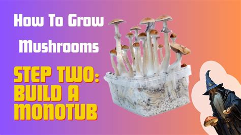 How To Build A MonoTub Quick, Easy, Cheap! YouTube