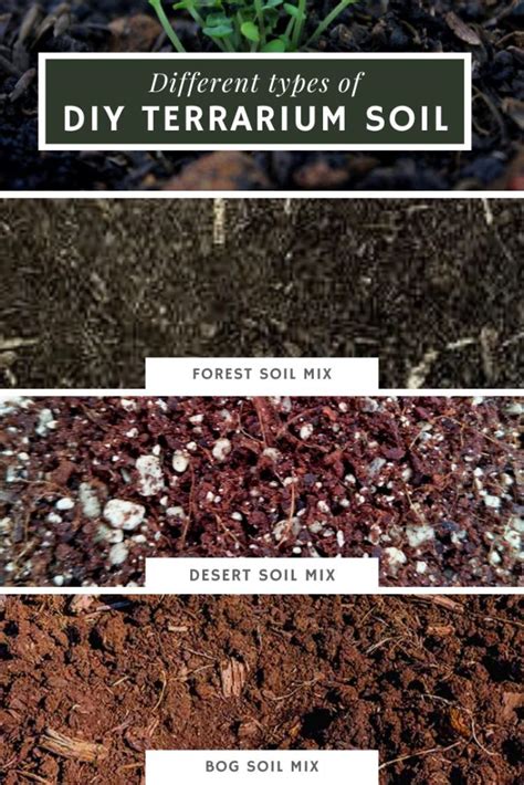 How To Build A Soil That Thrives A Complete Guide