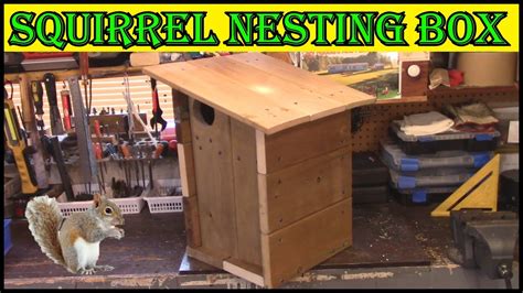 How To Build A Squirrel Nesting Box YouTube