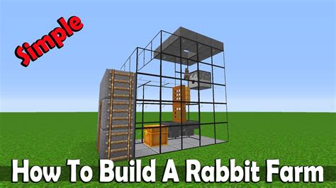 How To Build Automatic Rabbit Farm,Simple And efficient. YouTube