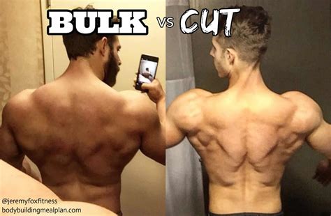 How To Bulk And Cut At The Same Time - Best Way To …