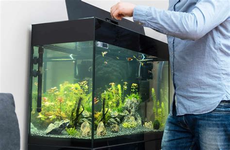 How To Care For Fish