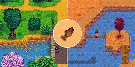 How To Catch Tiger Trout Stardew Valley - HOWTOCD