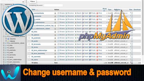 How To Change User Password In phpMyAdmin If You