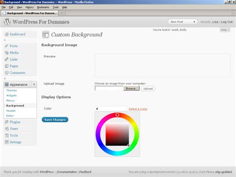 How To Change Your Wordpress Blog S Background Dummies