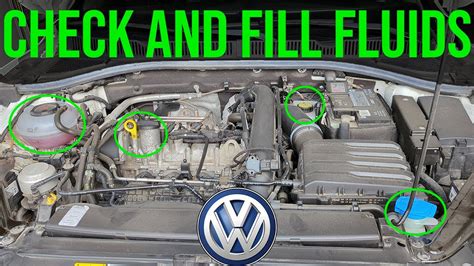 How To Check and Fill VW Jetta Transmission Fluid aka …