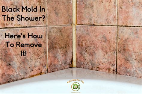 How To Clean Black Mold On Shower Grout - MoldProTips.com