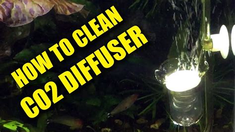 How To Clean Co2 Diffuser - RWBainAndCompany