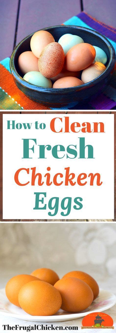 How To Clean Fresh Eggs - Pampered Chicken Mama: …