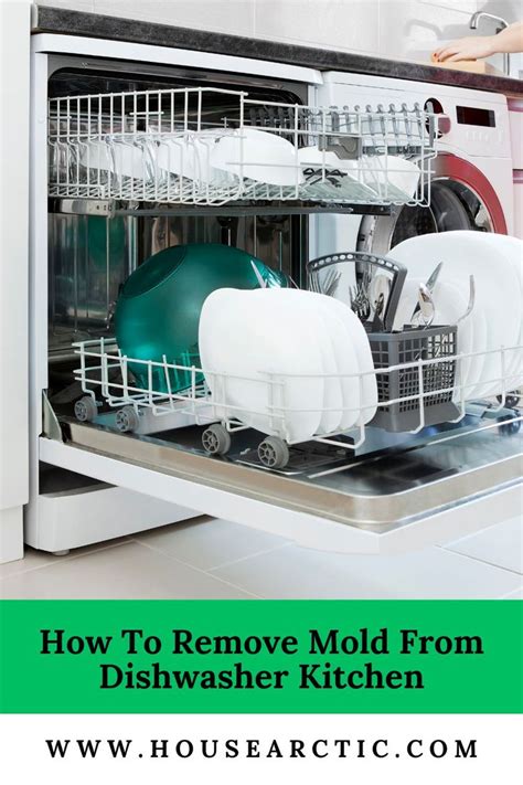 How To Clean Mold In Dishwasher - housearctic.com