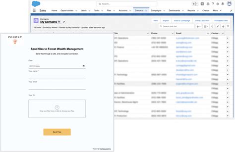 How To Create A Fillable Form In Salesforce