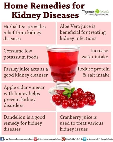 How To Cure Kidney Failure Naturally - HealthyKidneyClub.com