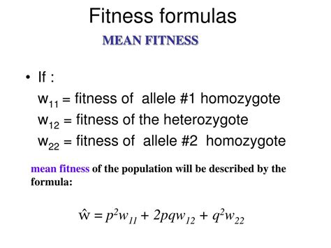How To Determine A Population’S Mean Fitness