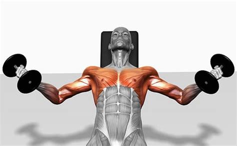 How To Develop Great Pecs Middlecrowd3