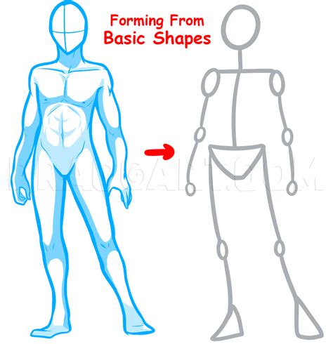 How To Draw A Anime Male Body