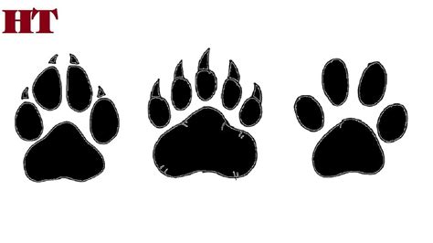 How To Draw A Bear Paw