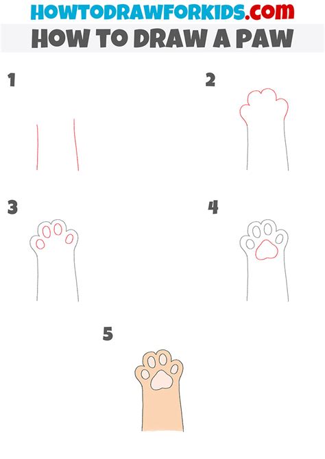 How To Draw A Bear Paw Step By Step at Drawing Tutorials