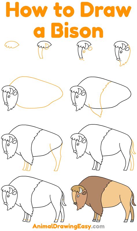 How To Draw A Bison Step By Step