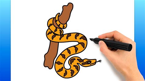 How To Draw A Boa Constrictor Snake (Easy Drawing Tutorial) YouTube