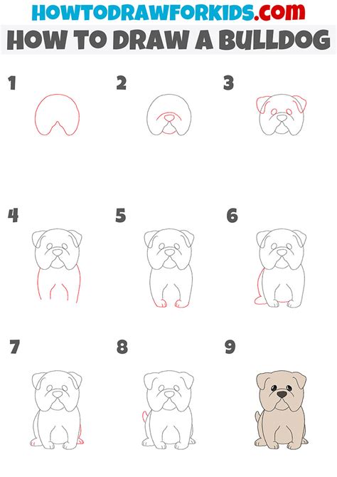 How To Draw A Bulldog Easy Step By Step