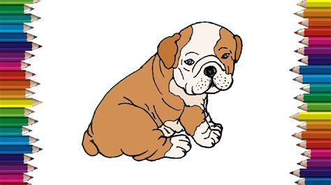 How To Draw A Bulldog Puppy