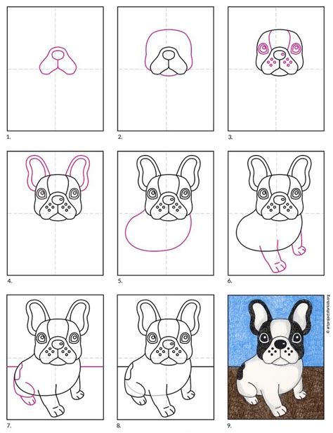 How To Draw A Bulldog Puppy Step By Step