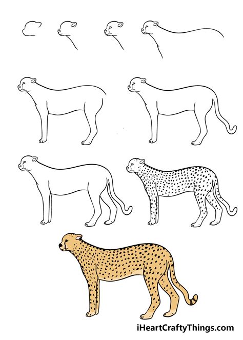 How To Draw A Cheetah