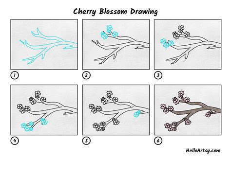 How To Draw A Cherry Blossom Branch Step By Step at Drawing Tutorials