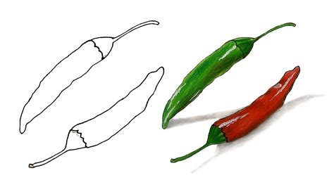 How To Draw A Chilli