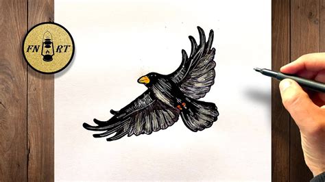 How To Draw A Crow Flying at How To Draw