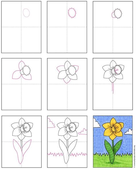 How To Draw A Daffodil Step By Step at Drawing Tutorials