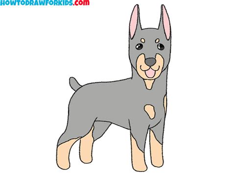 How To Draw A Doberman Step By Step