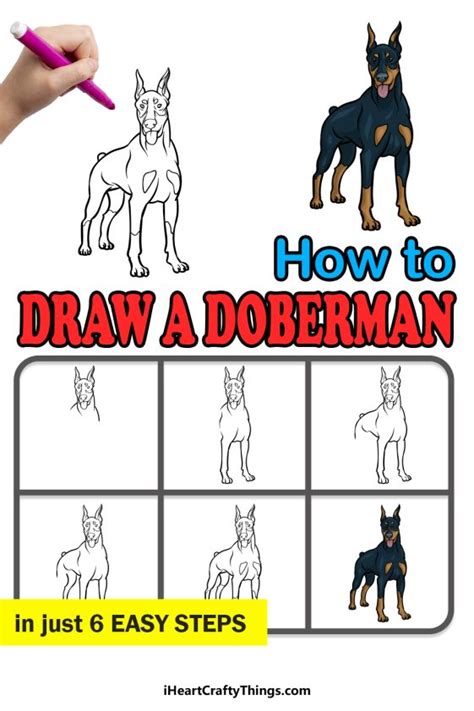 How To Draw A Dobermann Step By Step YouTube