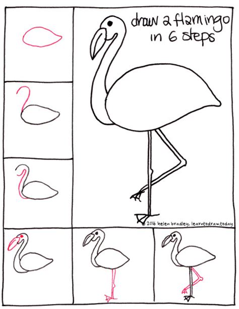 How To Draw A Flamingo For Kids