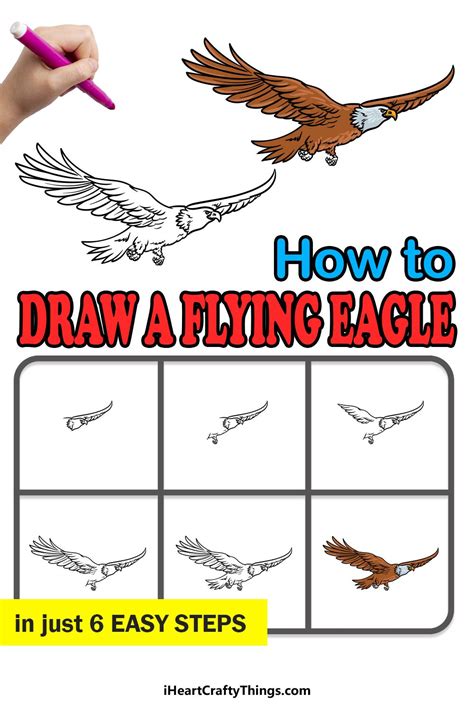 How To Draw A Flying Eagle A Step by Step Guide Cute easy drawings
