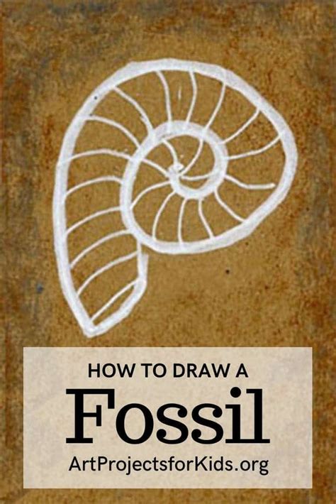 How To Draw A Fossil Easy? – Thelma Thinks