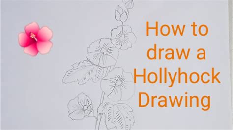 How To Draw A Hollyhock Step By Step at Drawing Tutorials