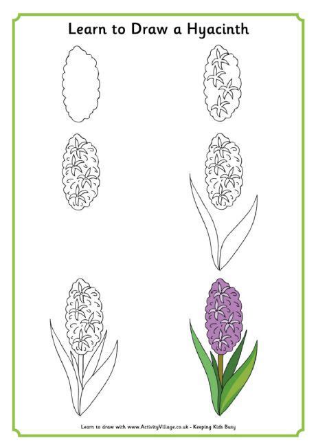 How To Draw A Hyacinth at How To Draw